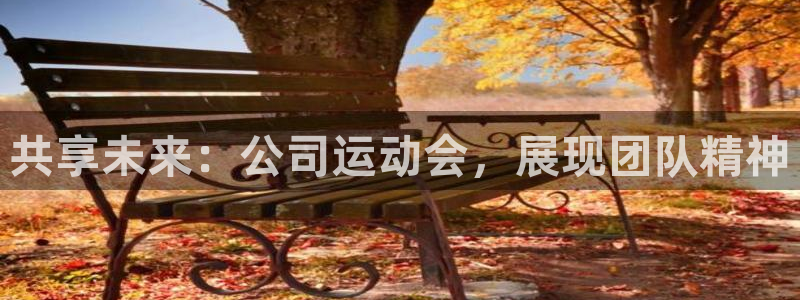 黑白体育足球直播：共享未来：公司运动会，展现团队精神