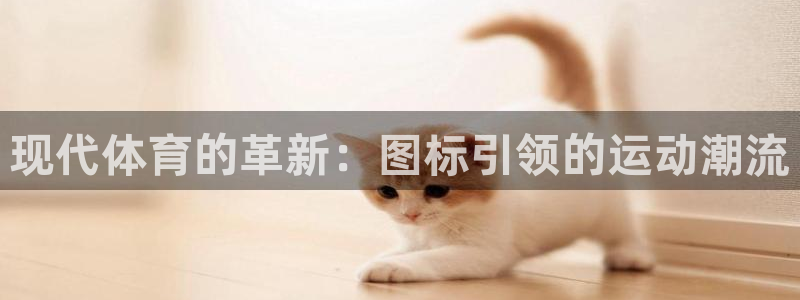 黑白体育ufc直播：现代体育的革新：图标引领的运动潮流
