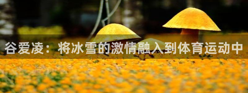 黑白体育nba回放：谷爱凌：将冰雪的激情融入到体育运动中