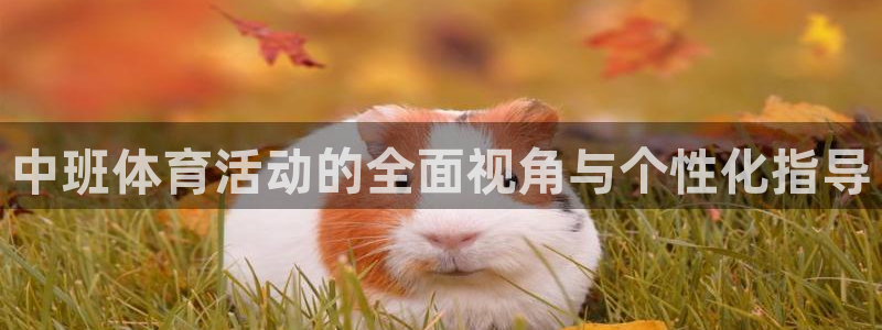 黑白体育iPhone下载：中班体育活动的全面视角与个性化指导